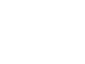 AUSSTELLUNG  von 30.09. - 5.11.2025